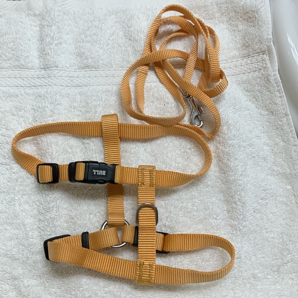 Bull No Pull Harness with matching leash in gold/yellow